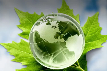 Environmentally Friendly
Environmentally Friendly